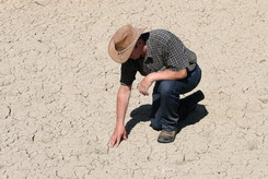 die folgen der globalen Erwärmung: extremere Wetterbedingungen und steigende Temperaturen